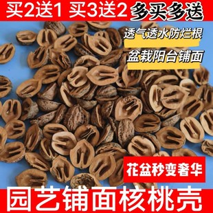 核桃壳铺面500g花盘填充物园艺铺面透气盆栽装饰植物种花阳台装饰