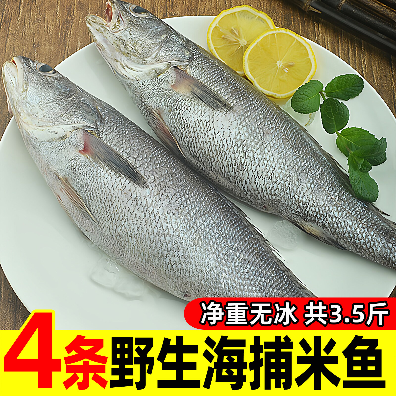 舟山米鱼3.5斤 新鲜冷冻大鮸鱼生鲜海鲜水产鲜活冰冻海鱼敏鱼鳘鱼