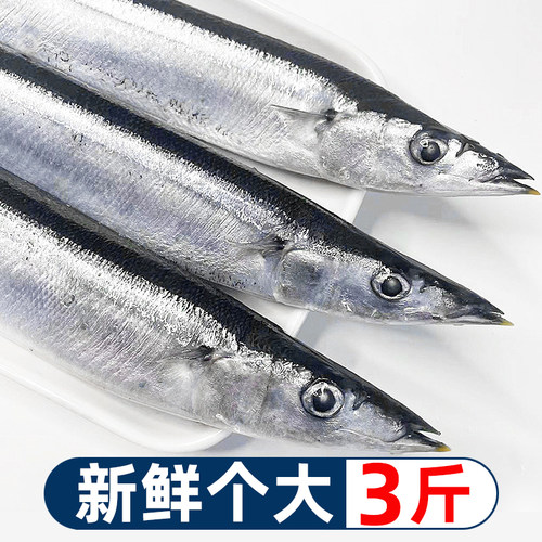 3斤舟山秋刀鱼新鲜个大肉多刺少