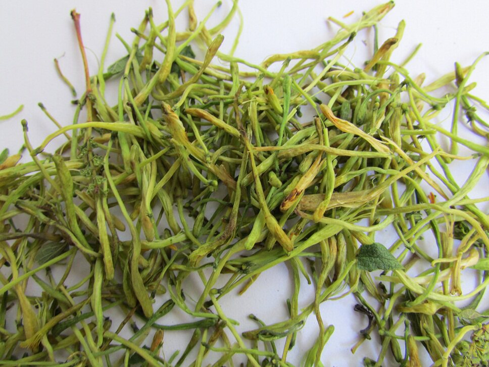 中药材湖南野生金银花二花 山银花500克包邮泡水宝宝泡澡金银花茶