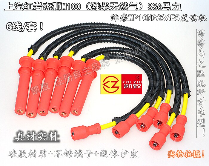 红岩杰狮M100潍柴336天然气WP10