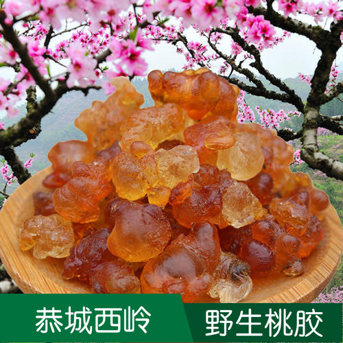 恭城桃胶野生食用广西特产