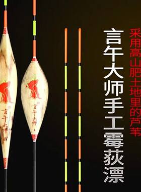 言午芦苇浮漂竞技超长黑坑鲫鱼漂