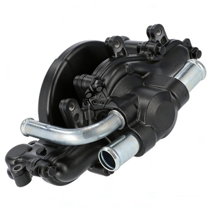 MKC 全新原装 305 19200 F6B水泵总成 25年金翼GL1800