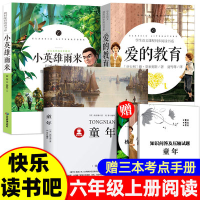 童年爱的教育小英雄雨来