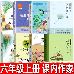 六年級上冊花之歌草原北京 夢故鄉朝花夕拾魯迅鐵凝宗白華宗璞老舍紀伯倫 春節紫藤蘿瀑布丁香結細雨下點碎落花聲竹節人會走路