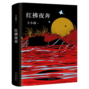 红拂夜奔 王小波经典小说精装纪念版 怀疑三部曲之趣味之书讲流氓天才变成皇帝御用工具的故事红佛夜奔李银河朱一龙推荐正版书籍