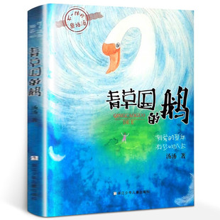 青草国的鹅 正版汤汤著 三年级必读课外书四年级小学生阅读书籍 不一样的童话汤美绘版 课外故事读物 浙江少年儿童出版社