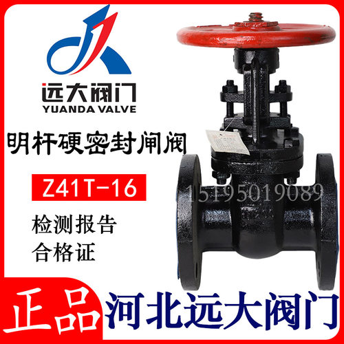 远大阀门Z44T-16燎原灰铸铁明杆闸阀法兰闸阀DN80DN150 200