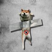 反光车贴胶带柴犬个性 饰贴纸 小狗恶搞笑电动车摩托车身遮挡划痕装