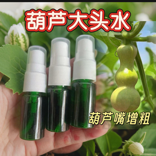 路庄辫哥葫芦爆头药水粗嘴药水葫芦粗嘴药水文玩栽葫芦大粗嘴药水