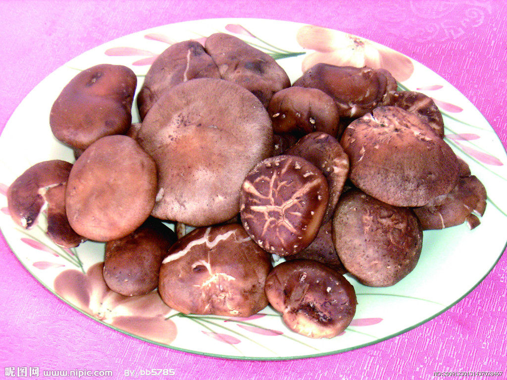 鲜冬菇 蘑菇 美味菇 香菇蔬菜 新鲜热卖 一斤9元