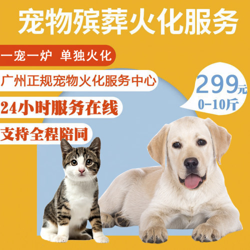 宠物火化销量排行榜 宠物火化品牌热度排名 小麦优选
