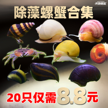 除藻观赏螺活体淡水工具螺清洁螺斑马螺黑金刚螺杀手螺小型迷你蟹