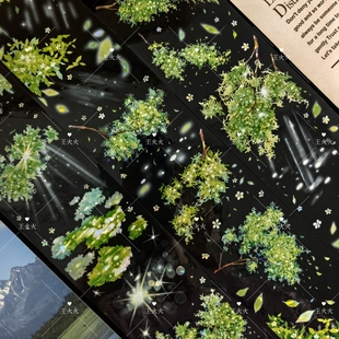 朝夕工作室 光晕 绿叶光晕咕卡流麻滴胶手帐拼贴pet胶带分装