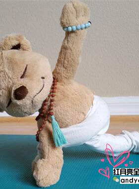 美国正版MeddyTeddy