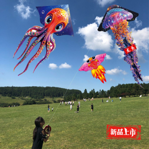 2025新款风筝儿童微风易飞山东潍坊传统金鱼道具大人专用男孩小号