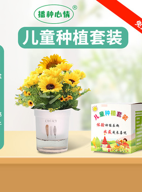 学生儿童种植小盆栽套装凤仙花餐向日葵太阳花含羞草种子植物观察