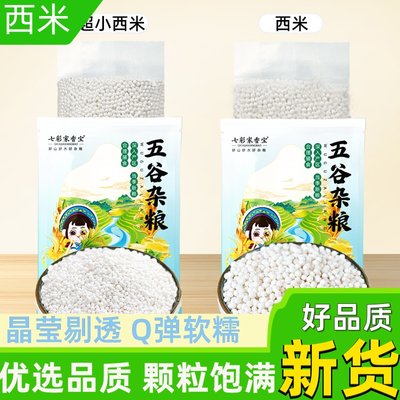 白西米小西米500g椰浆水晶粽子