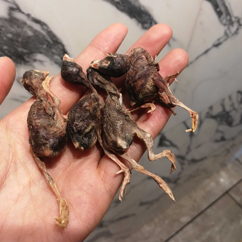 整只鹌鹑冻干八六家限时活动
