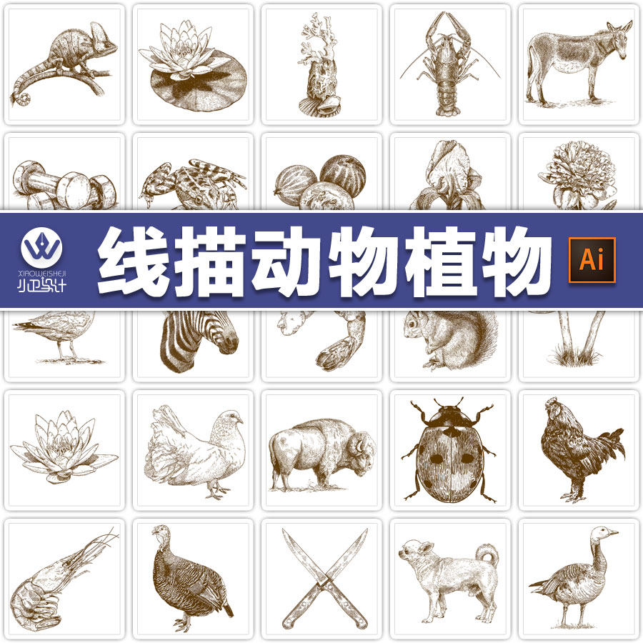 高清线描硬笔素描动物植物钢笔装饰画芯物品ai矢量平面设计素材图