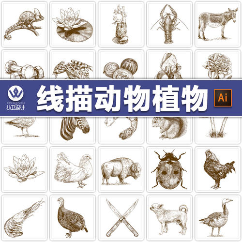 高清线描硬笔素描动物植物钢笔装饰画芯物品ai矢量平面设计素材图