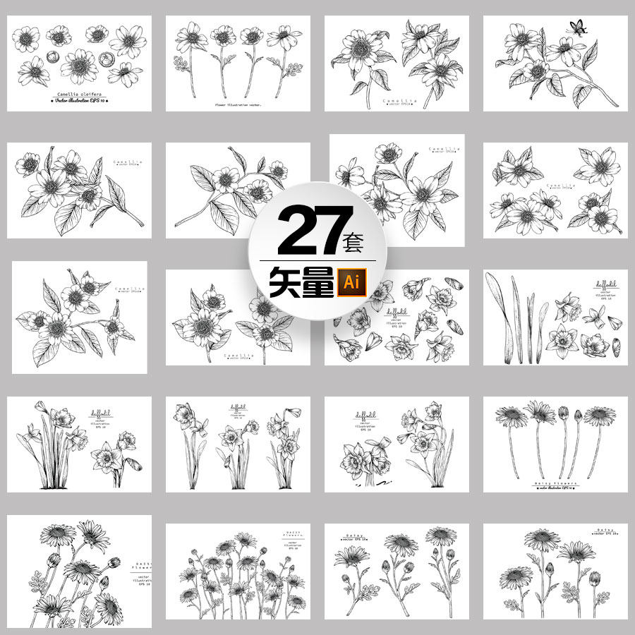 艺术素描铅笔涂鸦黑白复古装饰雏菊山茶水仙轮廓草图手绘设计素材