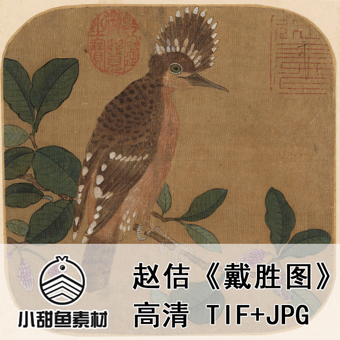 高清戴胜图宋徽宗赵佶电子扫描版素材花鸟国画临摹鉴赏jpgtif
