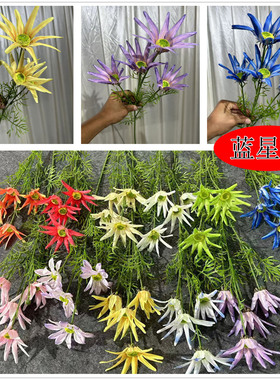 蓝星花假花仿真花布景装饰材料