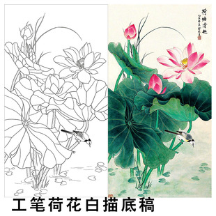 工笔荷花白描底稿国画临摹素材中国风花鸟荷塘清趣打印实物线稿