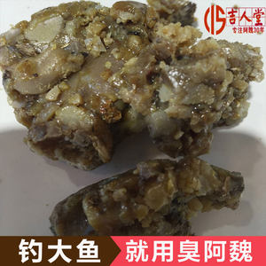 【臭阿魏钓鱼配方图片】臭阿魏钓鱼配方图片大