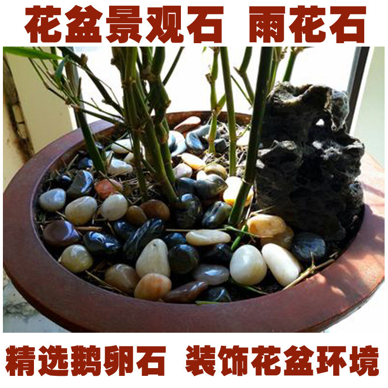 园艺用品 雨花石鹅卵石 园林造景装饰石 天然石 水培石头 3斤包邮