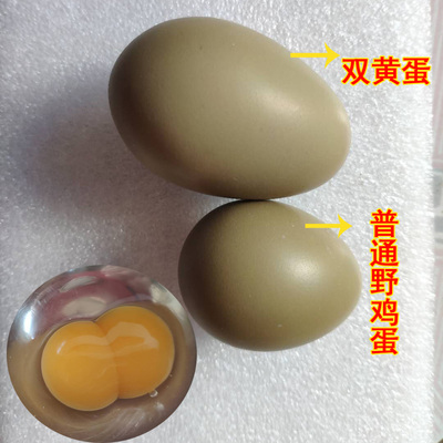 双黄七彩山鸡蛋野鸡蛋