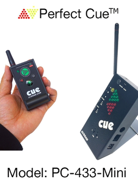 Dsan Cuelight高端翻页器ppt神器美国进口一拖二pc-433 mini版