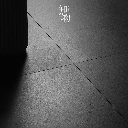 黑色简约客厅卫生间广东通体砖