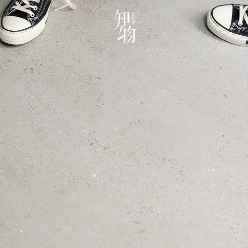 水磨石做旧瓷砖品质客厅卫生间
