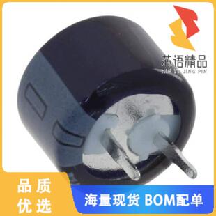 全新RSCH11045R5G09014T原装(CAP 100MF -20% +80% 5