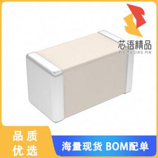 CAP C0G CER 250V 0.7PF 全新600S0R7BT250XT原装