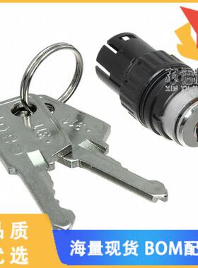 全新61-2205.0/D原装(CONFIG SW BODY KEY NON-ILLUM)正品