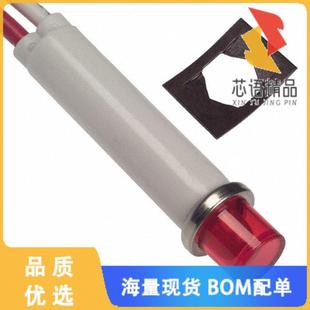 RED 250V PNL 全新2151A1原装 正品 NEON MNT LAMP