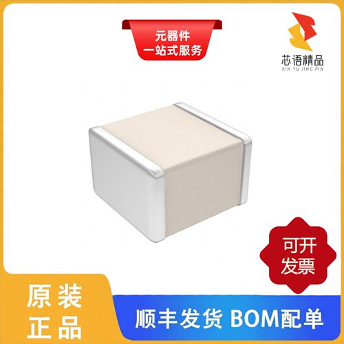 100B5R6CW500XT/100B620JT500XT/100B5R6BW500XT原装正品