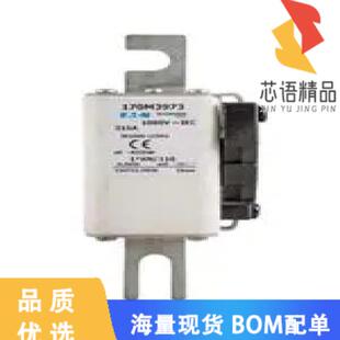 1.1KA SQUARE 1KVAC RECT 全新170M8640原装 正品 FUSE