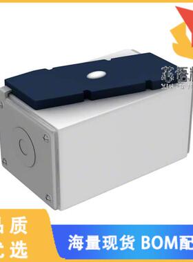 全新170M3445原装(FUSE SQUARE 250A 1.3KVAC RECT)正品