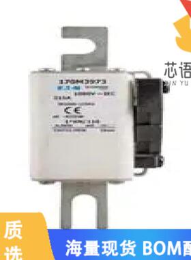 全新170M8636原装(FUSE SQUARE 700A 1KVAC RECT)正品