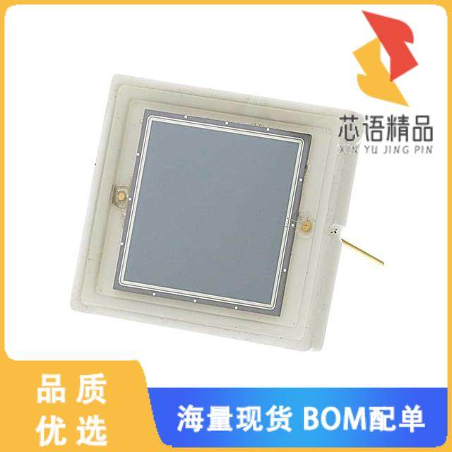 全新RD-100原装(SENSOR PHOTODIODE 950NM)正品