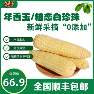 东北新鲜速冻粘糯玉米年香玉粗恋白珍珠无添加代餐软糯香甜16根