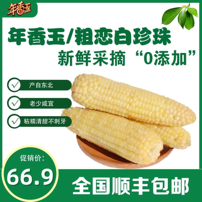 年香玉粗恋软糯香甜东北玉米顺丰