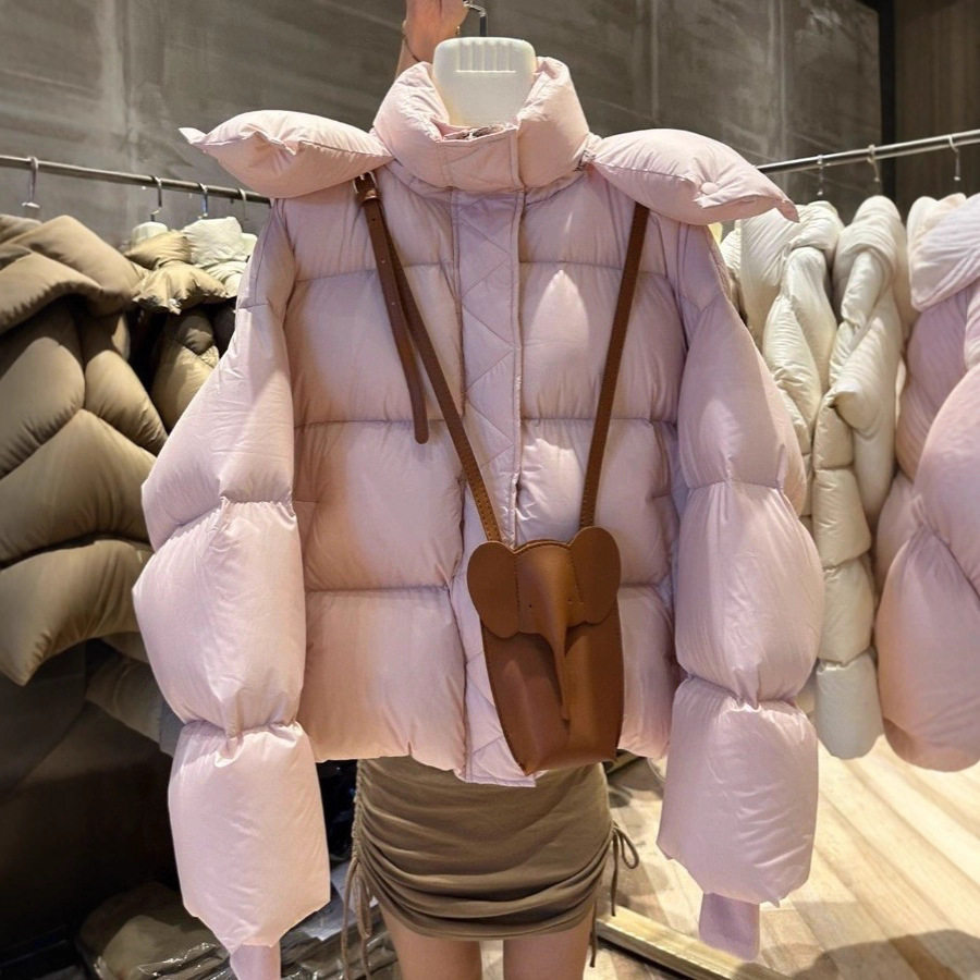 2025嘉兴平湖冬季新款短款连羽绒服