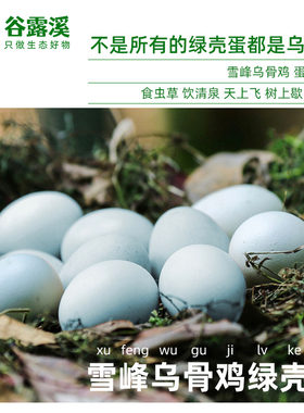 湖南武陵山散养雪峰乌骨鸡土鸡蛋