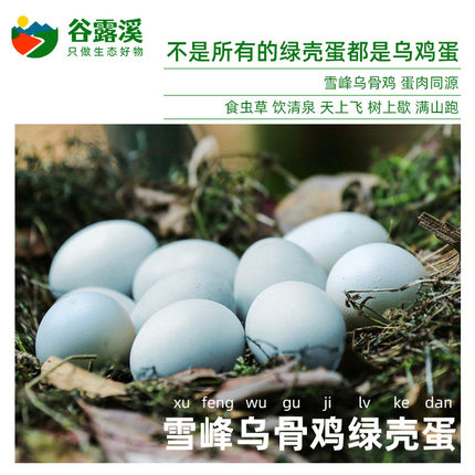 湖南武陵山雪峰乌鸡蛋生态含硒绿壳农家散养跑山土鸡草鸡蛋月子蛋